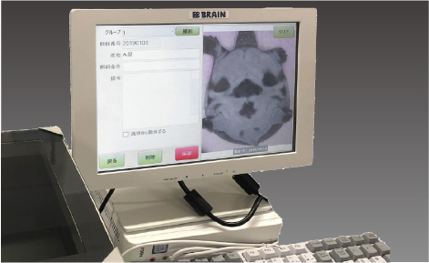 スッポン個体判別システム
